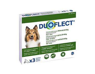 Duoflect - Pipettes Antiparasitaire de 20 à 40Kg pour Chien - x3