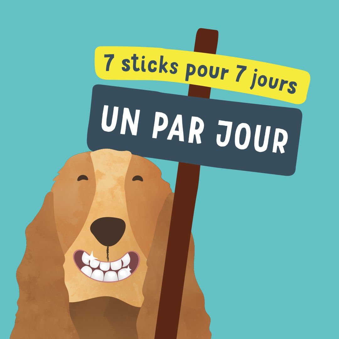 Edgard & Cooper - Sticks &agrave; M&acirc;cher Dental Naturel &agrave; la Menthe et Fraise fraiche pour Chien - L Image num&eacute;ro 6