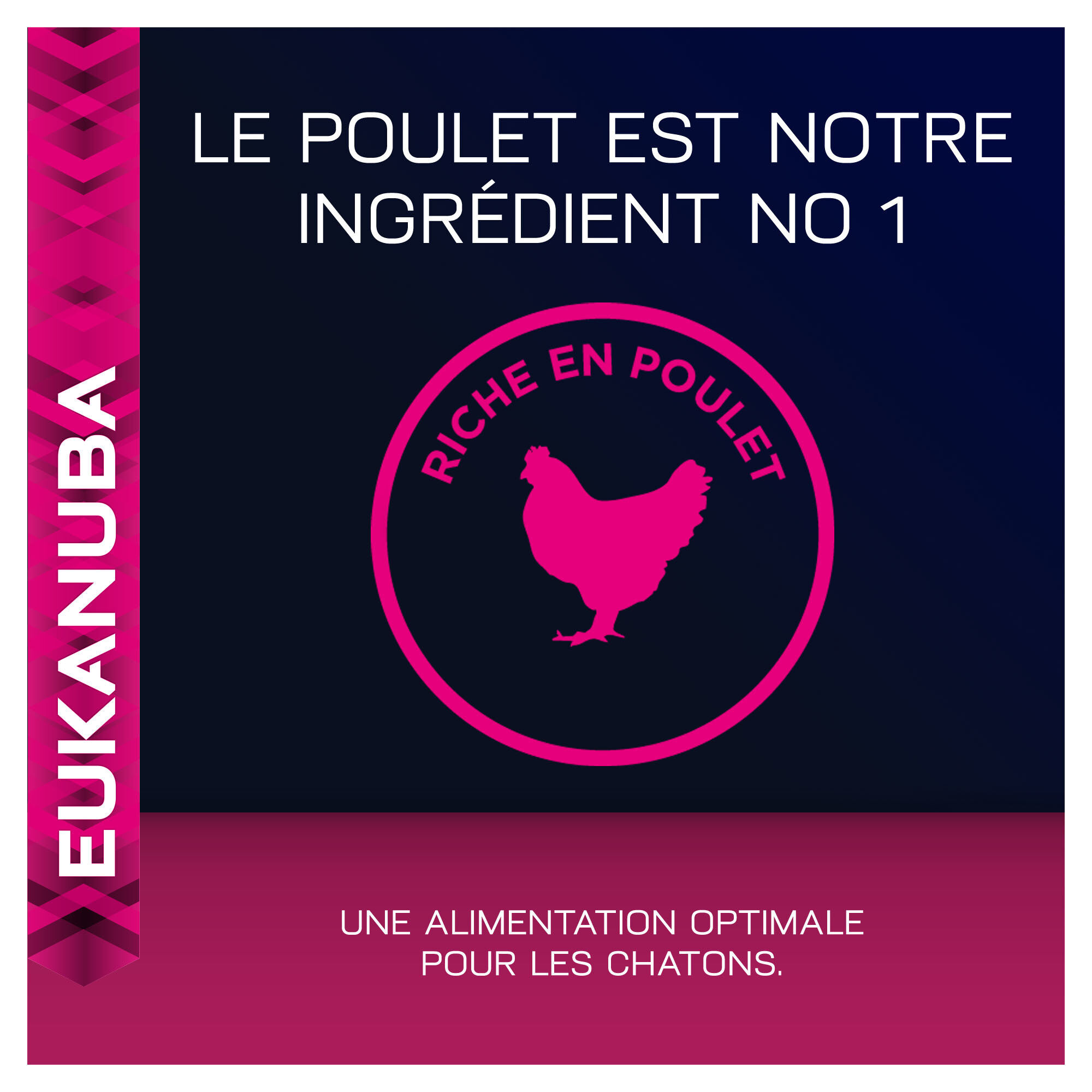 Eukanuba - Chats - St&eacute;rilis&eacute;s et Surpoids - Croquettes 10 Kg Image num&eacute;ro 6