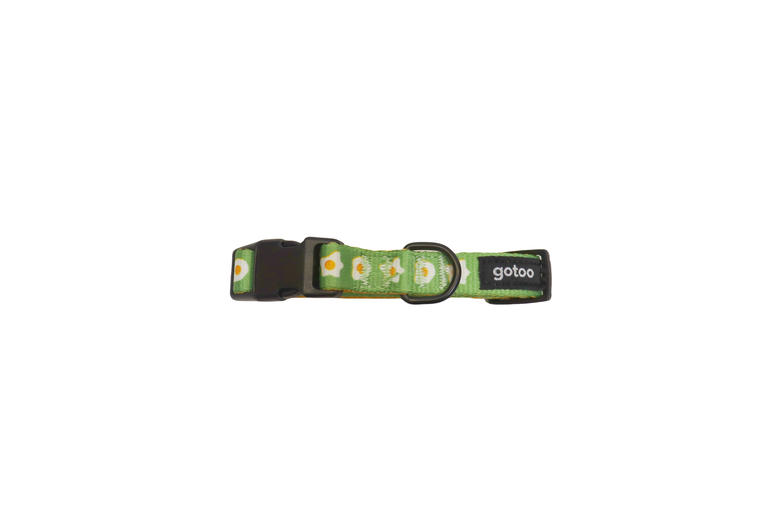 Gotoo - Collier à motif Oeuf Vert pour Chien - XS Image numéro 1 Gotoo - Collier à motif Oeuf Vert pour Chien - XS Image numéro 1