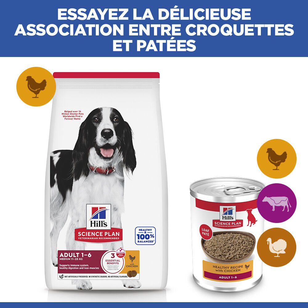 Hill's Science Plan - Adult Boite Pour Chien Poulet  - 370g Image num&eacute;ro 12