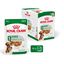 Royal Canin - Sachets Mini Adult en Sauce pour Chien - 12X85g Indicateur image numéro 3