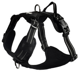 Bobby - Harnais Rando Walk Noir pour Chiens