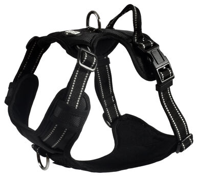 Bobby - Harnais Rando Walk Noir pour Chiens