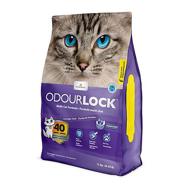 Intersand - Litière OdourLock Brise Lavande pour Chat - 12Kg