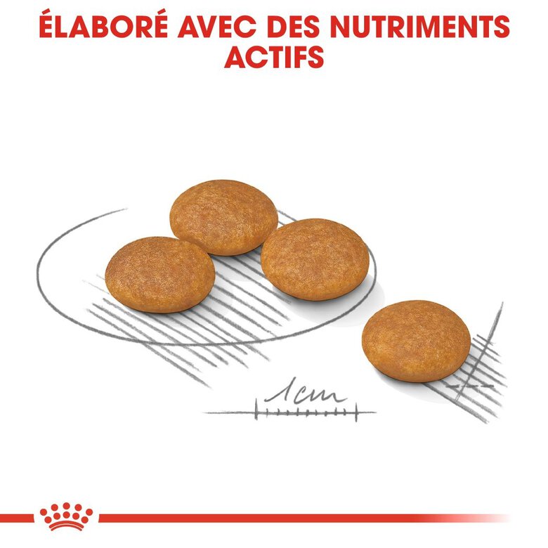 Royal Canin - Croquettes Mini Dermacomfort pour Chien - 2Kg Image numéro 5 Royal Canin - Croquettes Mini Dermacomfort pour Chien - 2Kg Image numéro 5