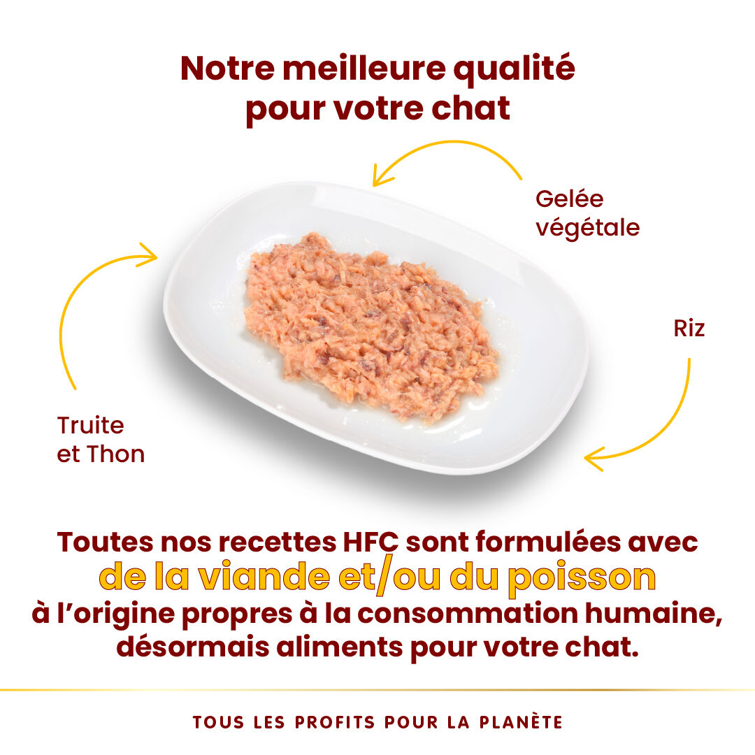Almo Nature - P&acirc;t&eacute;e en Bo&icirc;te HFC Jelly Truite et Thon pour Chat - 70g Image num&eacute;ro 3