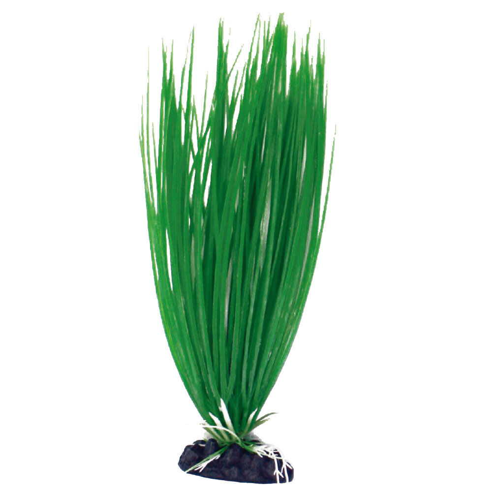 Amtra - D&eacute;coration Plante Classic Acorus - S Image num&eacute;ro 1