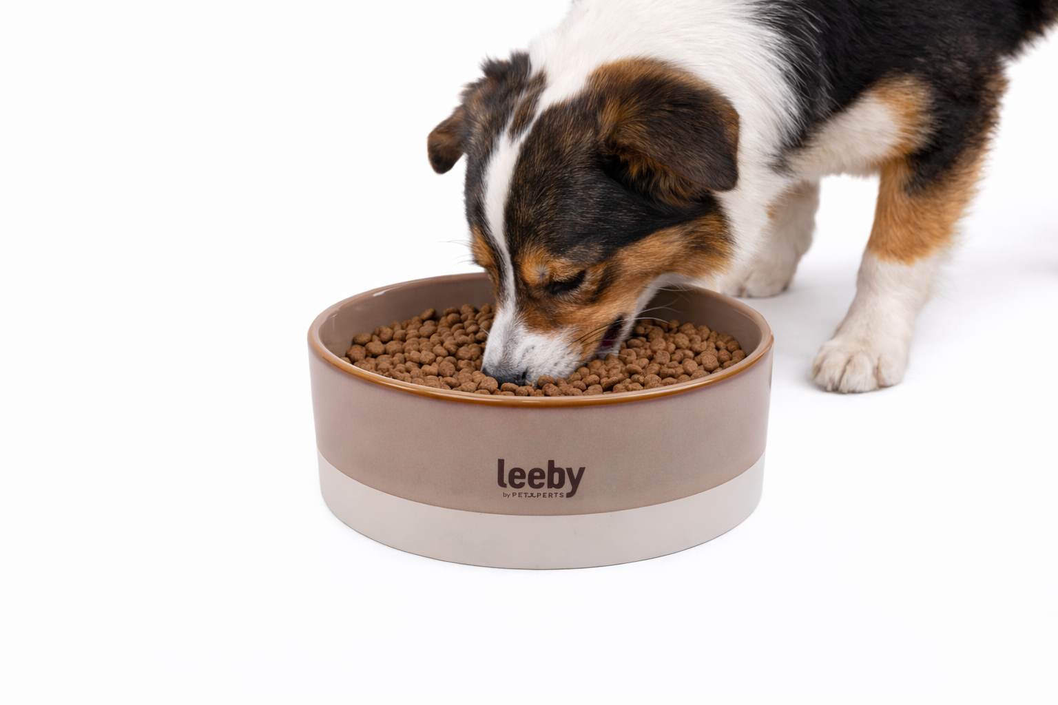 Leeby - Gamelle en C&eacute;ramique Bicolore pour Chiens - L /1,8L Image num&eacute;ro 1
