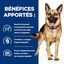 Hill's - Croquettes Prescription Diet Gastrointestinal Biome pour Chiens - 1,5Kg Indicateur image numéro 4
