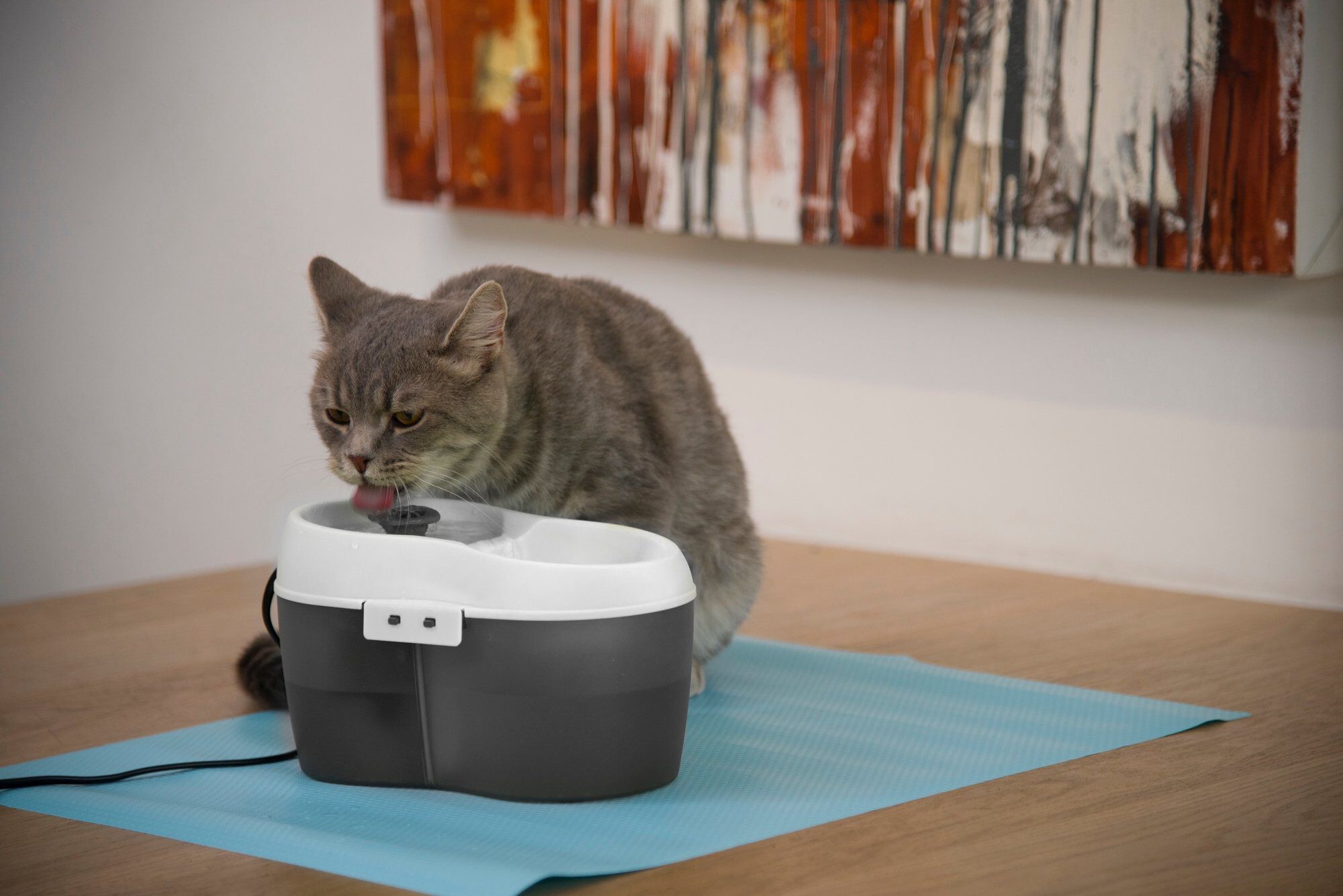 Cat H2O - Fontaine &agrave; Eau pour Chat - Gris Image num&eacute;ro 3