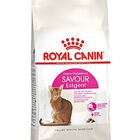 Royal Canin - Croquettes Savour Exigent pour Chat - 4Kg image number null