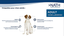 Nath - Croquettes Maxi Adult au Poulet Pour Chien - 3Kg Indicateur image numéro 4