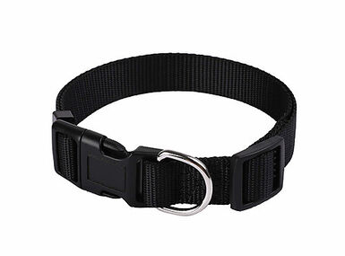 Animalis - Collier Basic pour Chien Noir