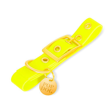 Pop Dog - Collier à Œillet Joyeux Jaune pour Chien - XL