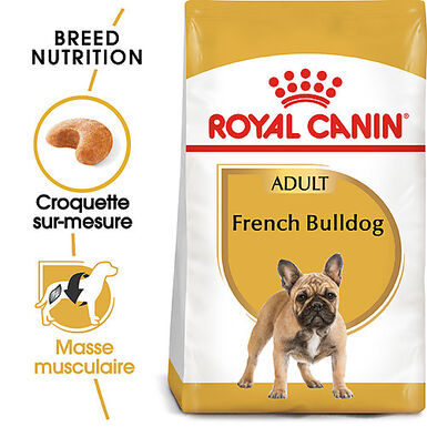 Royal Canin - Croquettes French Bulldog Adult Chien à partir de 12 mois - 1,5Kg
