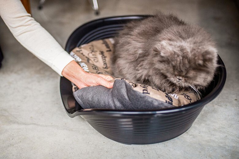 Ferplast - Corbeille Siesta Deluxe 4 Dark Grey pour Chiens Image numéro 11 Ferplast - Corbeille Siesta Deluxe 4 Dark Grey pour Chiens Image numéro 11