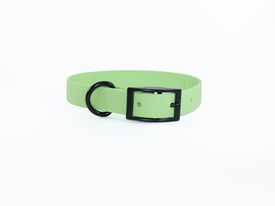 eKys - Collier Biothane pour Chien Vert