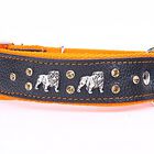 Yogipet - Collier Bulldog Cuir Crystal pour Chien - Orange image number null