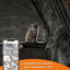 Weenect - Traceur GPS XS Edition 2023 pour Chats - Blanc Indicateur image numéro 5