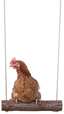 Kerbl - Balançoire à Corde pour Poules - 39cm