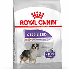 Royal Canin - Croquettes Medium Adult Sterilised pour Chien - 12Kg image number null