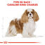 Royal Canin - Croquettes Cavalier King Charles Adult - 1,5Kg Indicateur image numéro 5