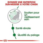 Royal Canin - Croquettes Mini Ageing 12+ pour Chien Senior - 3,5Kg image number null