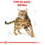 Royal Canin - Croquettes Bengal pour Chat Adulte - 2Kg Indicateur image numéro 3