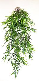 Labeo - Suspension bambou Plante Artificielle Terrarium