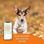 Weenect Dogs 2 - Collier GPS Connect&eacute; pour Chien Indicateur image num&eacute;ro 5