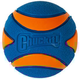 ChuckIt! - Balle Ultra Squeaker Ball Pour Chiens - M
