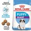 Royal Canin - Croquettes Giant Puppy pour Chiot - 15Kg Indicateur image numéro 1
