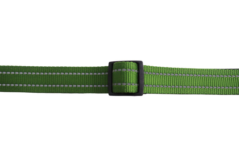 Gotoo - Collier en Nylon Premium Vert pour Chien - XS Image numéro 3 Gotoo - Collier en Nylon Premium Vert pour Chien - XS Image numéro 3