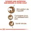 Royal Canin - Croquettes Ageing +12 pour Chat Senior - 4Kg Indicateur image numéro 4