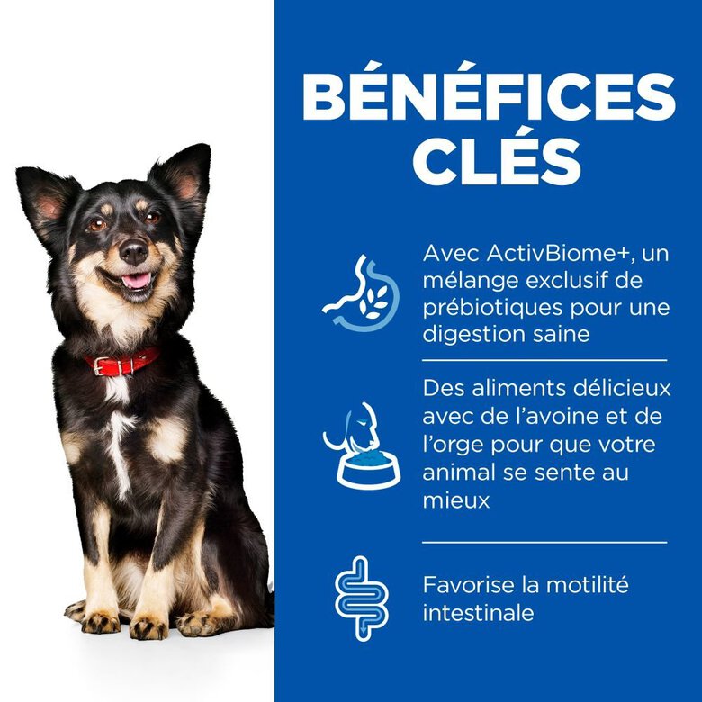 Hill's Science Plan - Perfect Digestion Small & Mini Croquettes Pour Chien  -  1,5kg Image numéro 3 Hill's Science Plan - Perfect Digestion Small & Mini Croquettes Pour Chien  -  1,5kg Image numéro 3