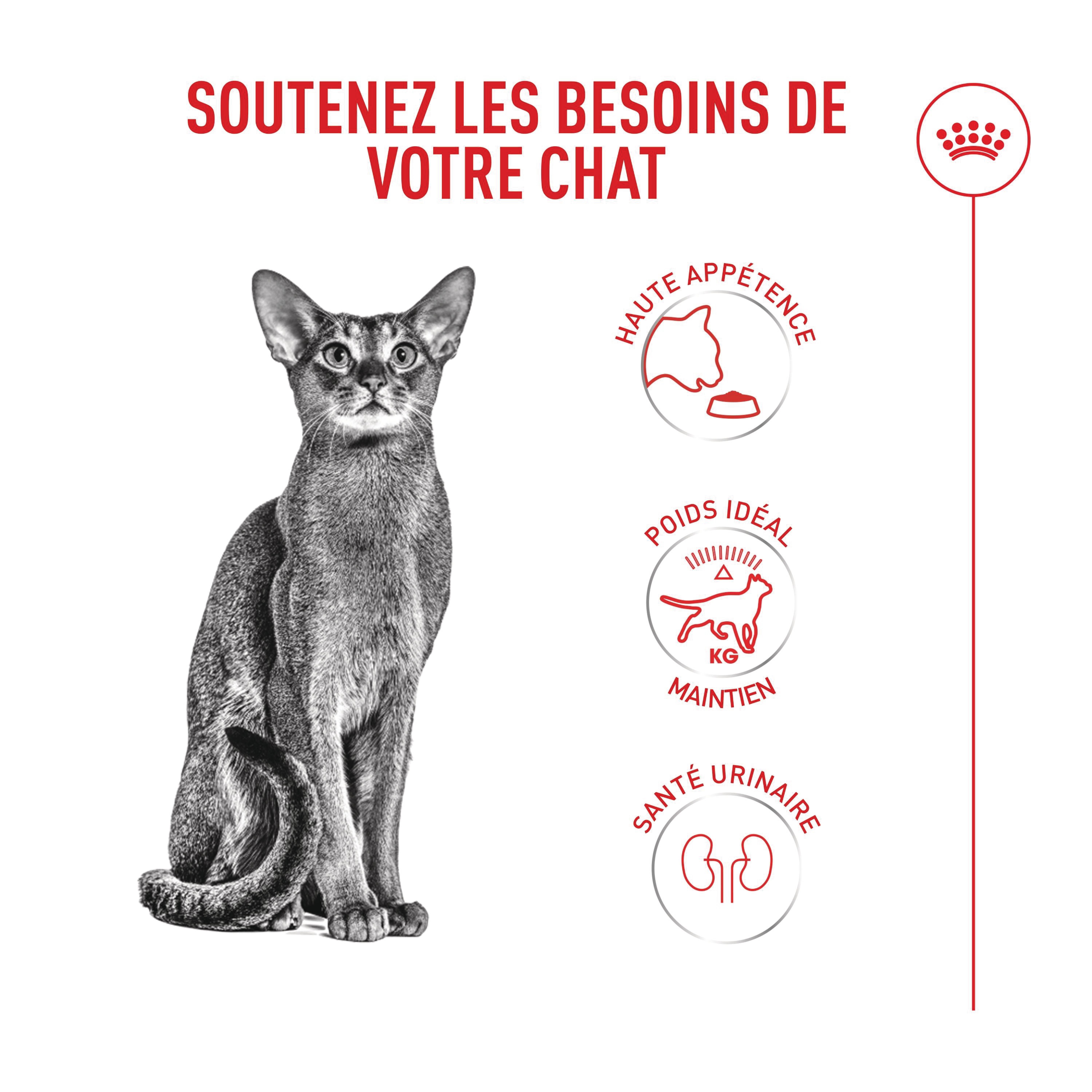 Royal Canin - Croquettes Fussy Exigent pour Chats Difficiles - 400g Image num&eacute;ro 13