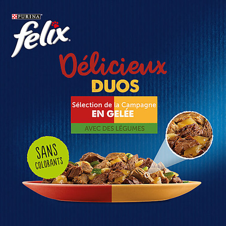 FELIX - Sachets Fraîcheur en Gelée Délicieux Duos aux Légumes pour Chats - 44x85g image number null
