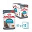 Royal Canin - Sachets Urinary Care en Sauce pour Chat - 12x85g Indicateur image numéro 1