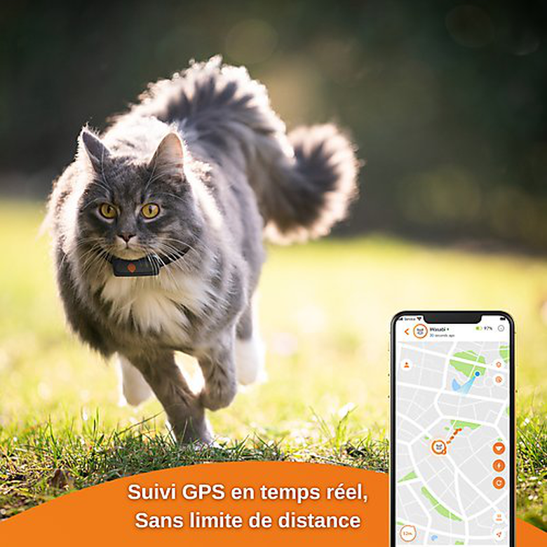 Weenect Traqueur GPS XS pour les chats, Noir