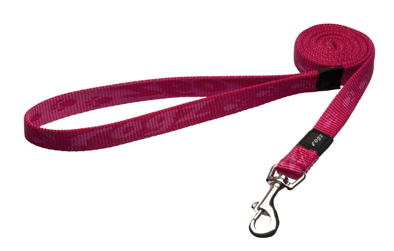 Rogz - Laisse Simple Alpinist Rose pour Chiens - M Image numéro 1 Rogz - Laisse Simple Alpinist Rose pour Chiens - M Image numéro 1