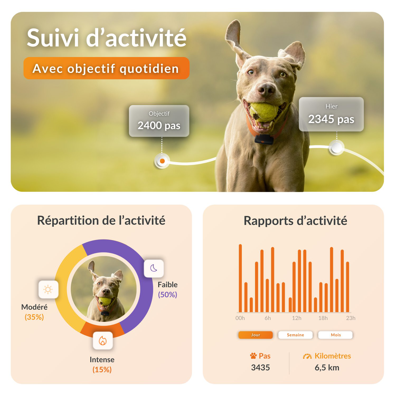 Weenect - Traceur GPS L/XL Edition 2023 pour Chiens - Noir Image num&eacute;ro 2