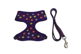 Gotoo - Ensemble Bleu Funny Géométrique pour Chien