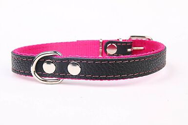 Yogipet - Collier Cuir et Nylon pour Chien - Rose