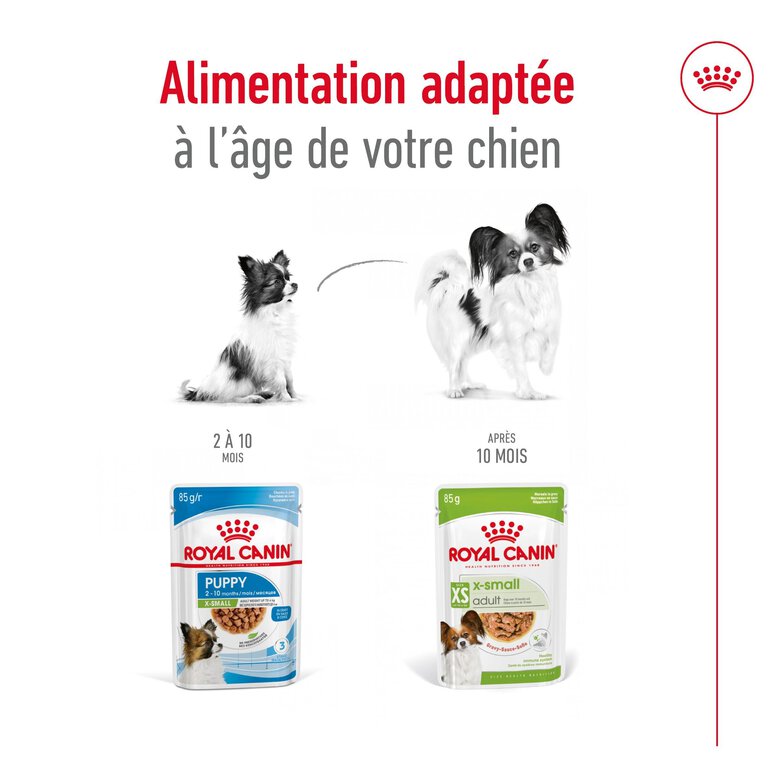 Royal Canin - Sachets Humides en Sauce X-Small Adult - 12x85g Image numéro 6 Royal Canin - Sachets Humides en Sauce X-Small Adult - 12x85g Image numéro 6