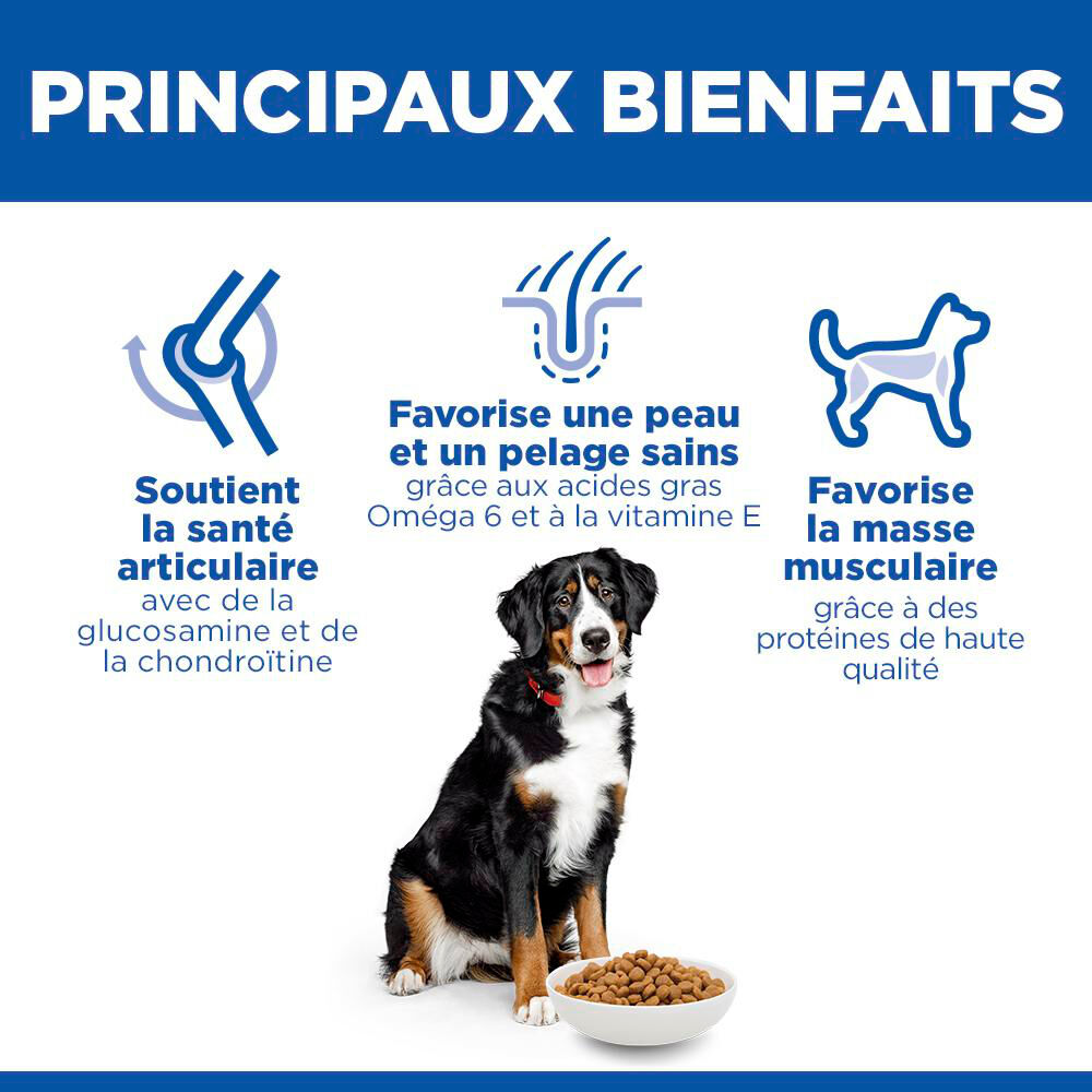 Hill's Science Plan - Adult Croquettes Pour Grand Chien Au Poulet  - 18kg Image num&eacute;ro 7