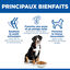 Hill's Science Plan - Adult Croquettes Pour Grand Chien Au Poulet  - 18kg Indicateur image num&eacute;ro 7