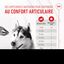 Royal Canin - Aliment complémentaire Adult Joint & Agieing Chews pour Chiens - 240g Indicateur image numéro 6