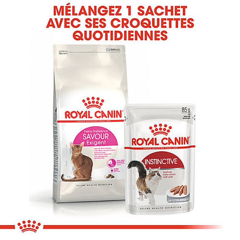 Royal Canin - Croquettes Savour Exigent pour Chats Difficiles - 10Kg image number null