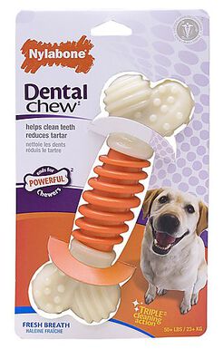 Nylabone - Jouet Os Dental Chew Pro-Action pour Chien